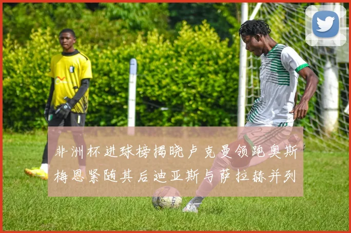 非洲杯进球榜揭晓卢克曼领跑奥斯梅恩紧随其后迪亚斯与萨拉赫并列第三