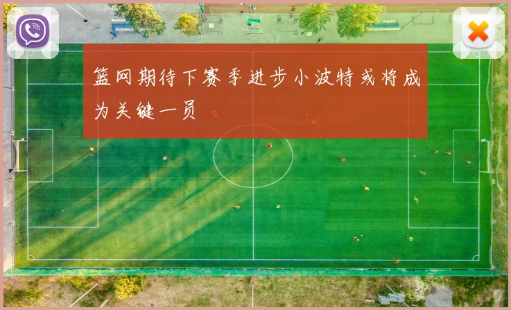 篮网期待下赛季进步小波特或将成为关键一员